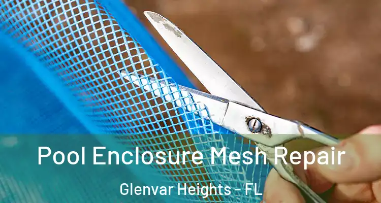  Pool Enclosure Mesh Repair Glenvar Heights - FL